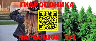 скорость Рыбинск