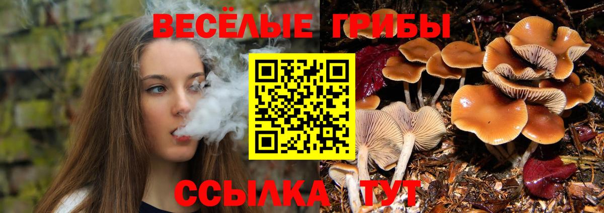 купить  сайты  Псилоцибиновые грибы мицелий  Вход с VPN  Нягань 